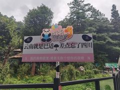 -云南野生动物园