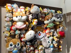 -逗柴咖啡屋·狗咖猫咖宠物桌游