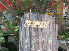 -哈密回王府景区