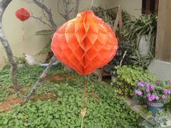 -酒乐日本料理(田安全国首店)