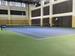 -振狮网球俱乐部(九堡校区)