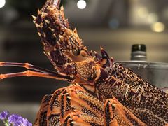 -金悦轩海鲜城(渔人码头店)