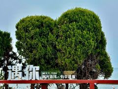 -燕儿岛山公园