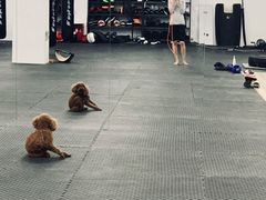 -FIGHTMAN格斗俱乐部(长宁临空店)