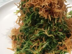 巧拌豆苗-四季民福烤鸭店(王府井灯市口店)