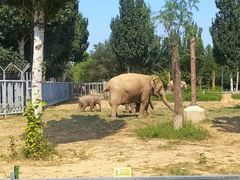 -石家庄市动物园