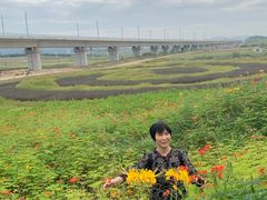 -光明小镇欢乐田园