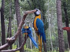 -北京野生动物园