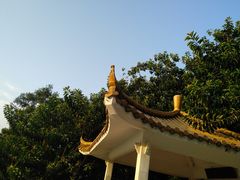 -荔枝公园(福田区)
