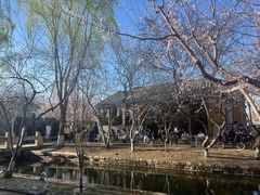 -春风习习