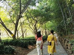 -九龙潭景区