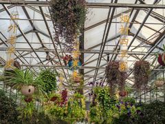 -南宫五洲植物乐园