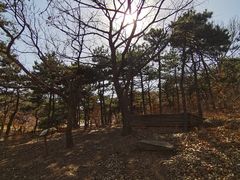 -北京西山国家森林公园