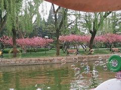 -团结湖公园
