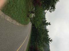 iphone_upload_pic-旺山景区