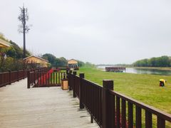 -太湖湖滨国家湿地公园-停车场
