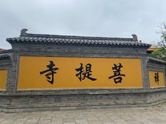 -台儿庄古城