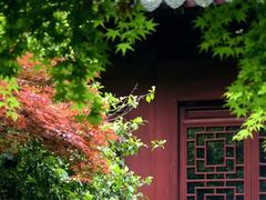 -上海醉白池公园