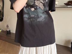 -岭南站NOVA