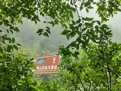 -娄山关景区