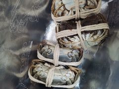-阳澄湖大闸蟹·琼灵阁牌品牌连锁(吴中总店)