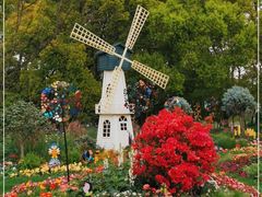 -上海共青森林公园