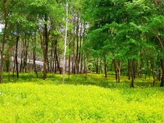 -哈尔滨北方森林动物园