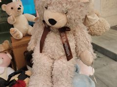 -成都泰迪熊博物馆