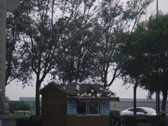 -天津妈祖文化园