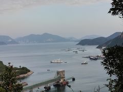 -南丫岛