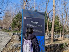 -阳台山自然风景区