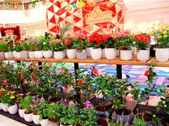 -皇庭广场(福华三路店)