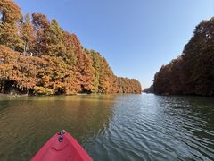 -上海海湾国家森林公园
