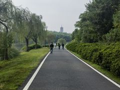 -宜兴龙背山森林公园