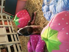 android_upload_pic-万达广场(南京江宁店)