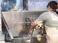 -奈斯宠物医院·核磁CT·异宠专科·内镜(中南店)