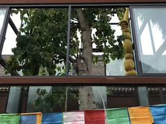 -西安市广仁寺