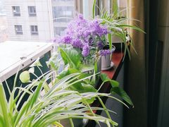 -怡心阁·水疗SPA会馆(王府井店)