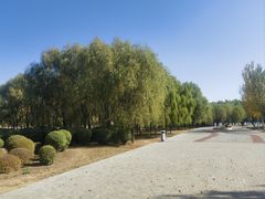 -丁香湖公园