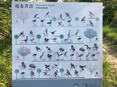 -同里国家湿地公园