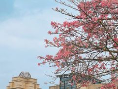 -风云岭森林公园