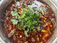 -彭大姐老店黄辣丁(新津店)