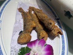 -老雒阳面馆·水席(洛宁高速路口店)