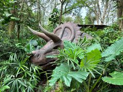 -海南热带野生动植物园