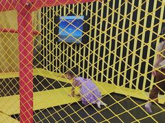 -不可思议减压馆·解压博物馆·摔碗发泄·团建定制