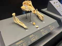 -贵州省博物馆(新馆)