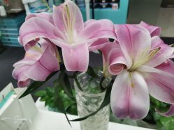 -斐尔国际皮肤管理中心