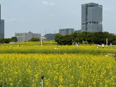 -光明小镇欢乐田园