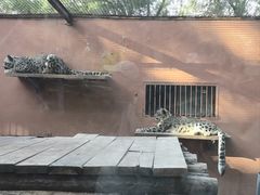 -青藏高原野生动物园