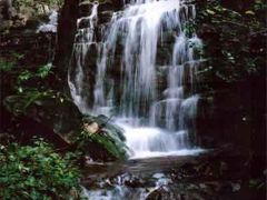 -沂蒙山旅游区云蒙景区(蒙山国家森林公园)